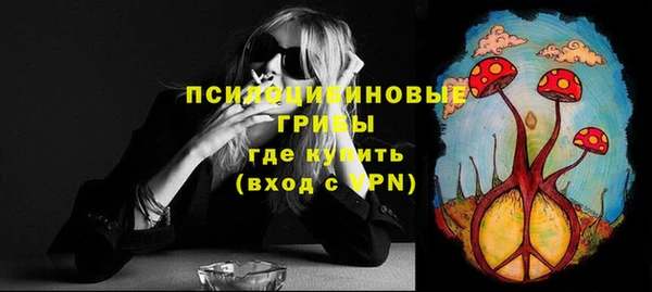 гидра Горнозаводск