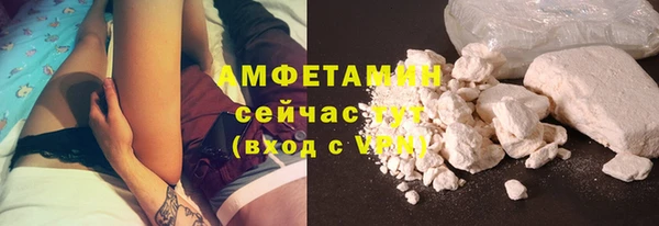 ГАЛЛЮЦИНОГЕННЫЕ ГРИБЫ Горняк