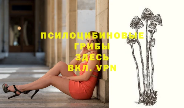 ГАЛЛЮЦИНОГЕННЫЕ ГРИБЫ Горняк