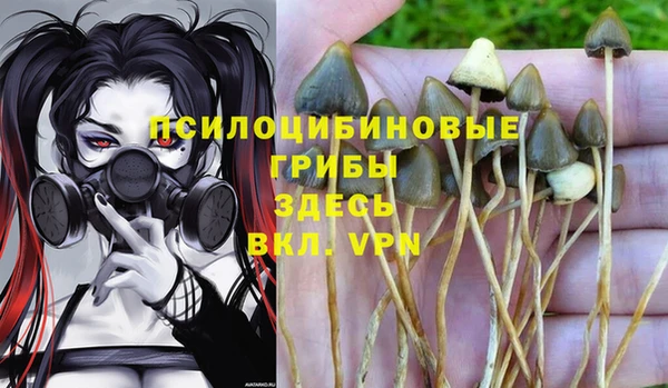 соль курить ск Горно-Алтайск