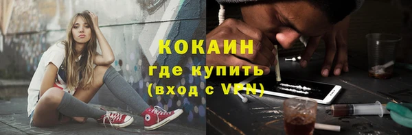 ГАЛЛЮЦИНОГЕННЫЕ ГРИБЫ Горняк