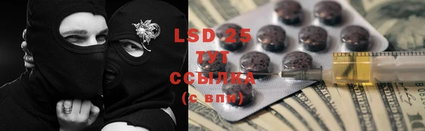 ГАЛЛЮЦИНОГЕННЫЕ ГРИБЫ Горняк