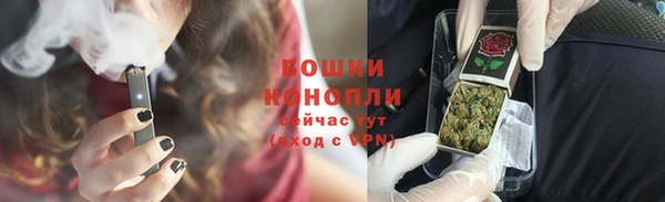 ГАЛЛЮЦИНОГЕННЫЕ ГРИБЫ Горняк
