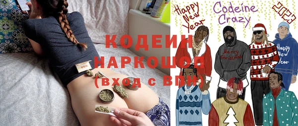 ГАЛЛЮЦИНОГЕННЫЕ ГРИБЫ Горняк
