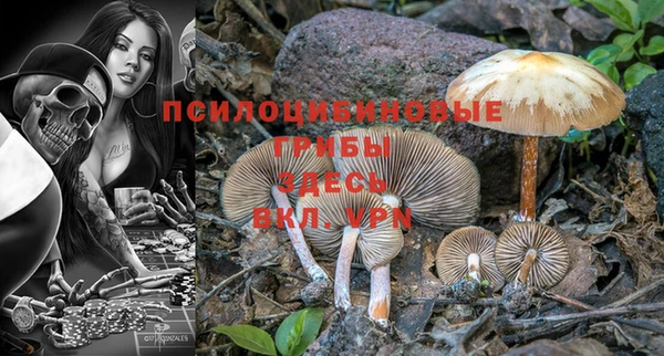 гидра Горнозаводск