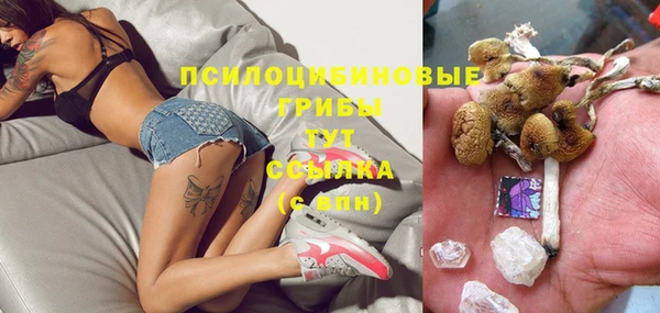 ГАЛЛЮЦИНОГЕННЫЕ ГРИБЫ Горняк