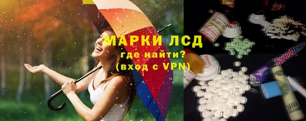 гидра Горнозаводск