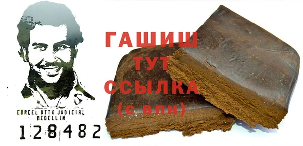 гидра Горнозаводск