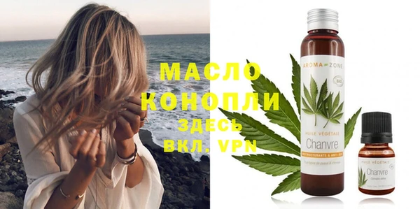 гидра Горнозаводск